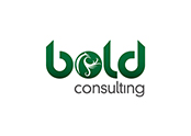 bold consulting